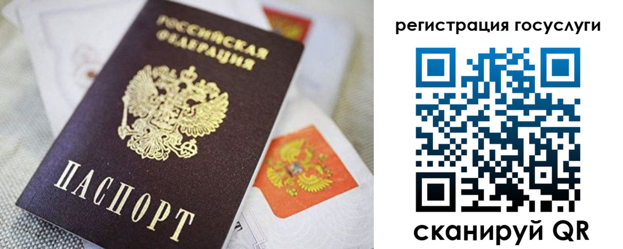 прописка паспорт в Венёве